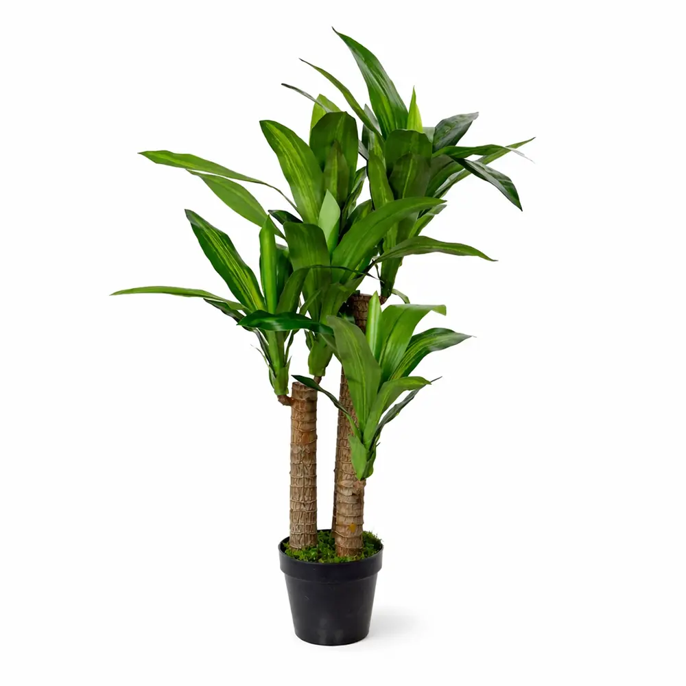 Kunstbaum Drachenbaum Grün