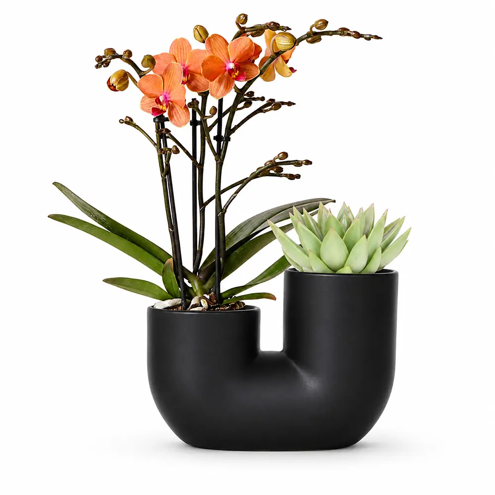Deko Set Wohnzimmer mit zwei Pflanzen und Blumentopf