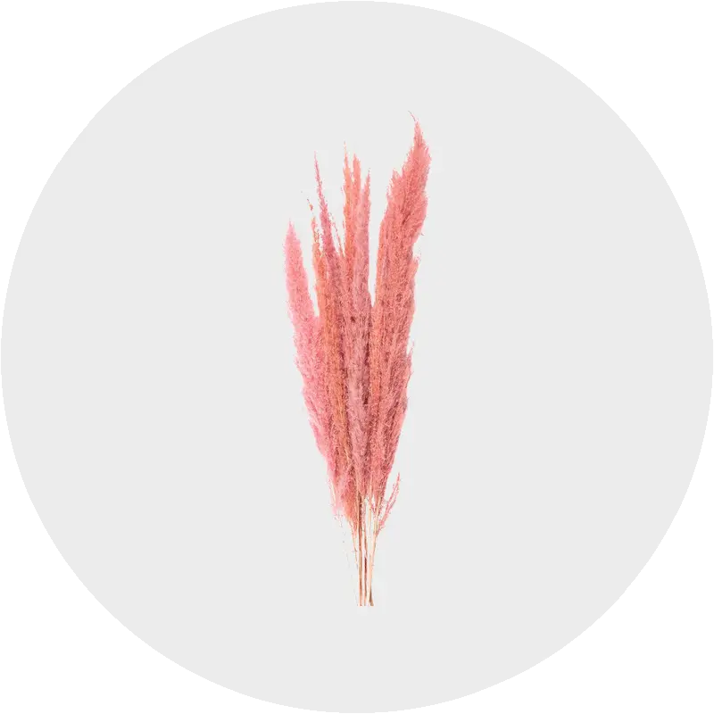 Trockenblumen