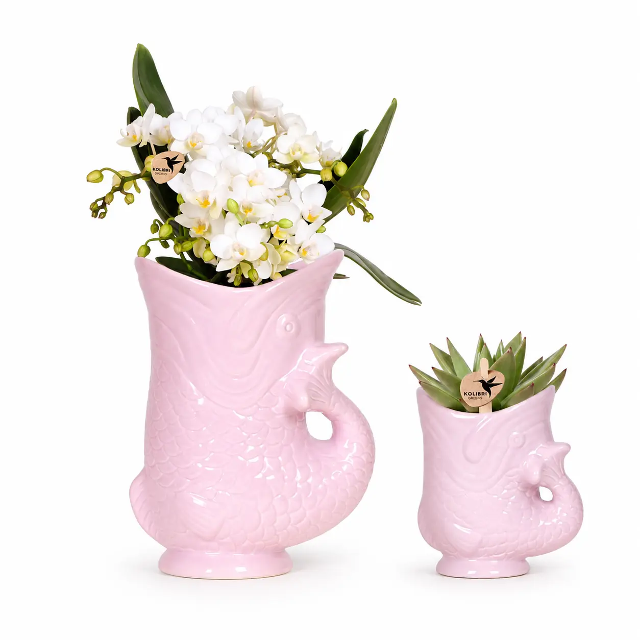 Fischvase Set mit Blume Rosa