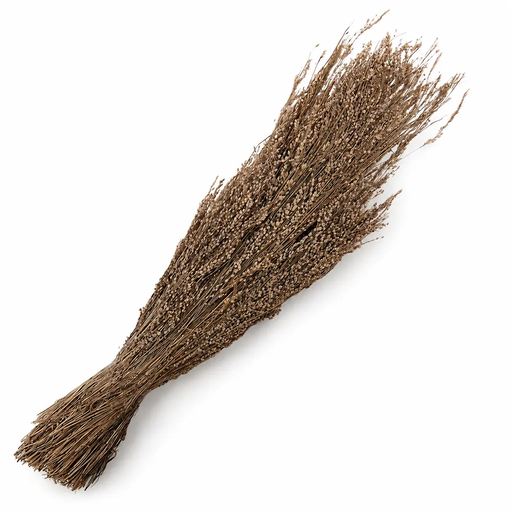 Trockenblume Beige 55cm