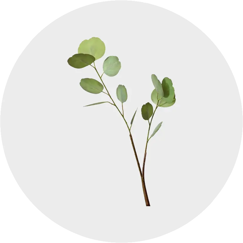 Einzelblumen & Zweige