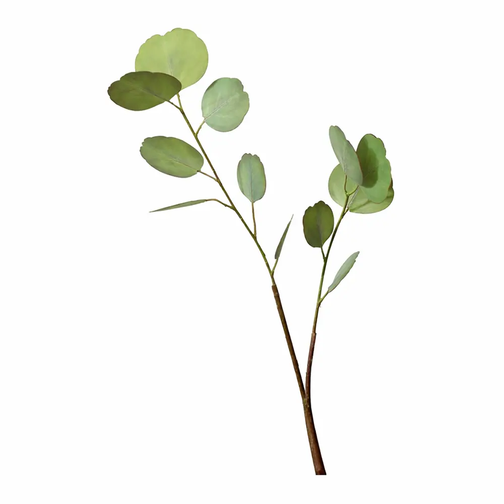 Kunstblatt Eukalyptus